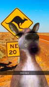 kalogeraseliana Altpins Profile Picture