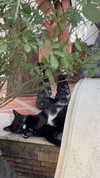 x_jendayi_x Altpins Profile Picture