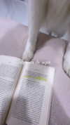 dianavgalvis Altpins Profile Picture