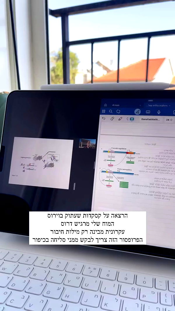 kesemgreenyer archive video preview