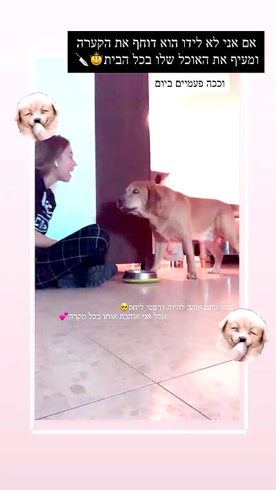 lissi77 lissi77 archive video