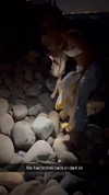 cclaire.bbear1 Altpins Profile Picture