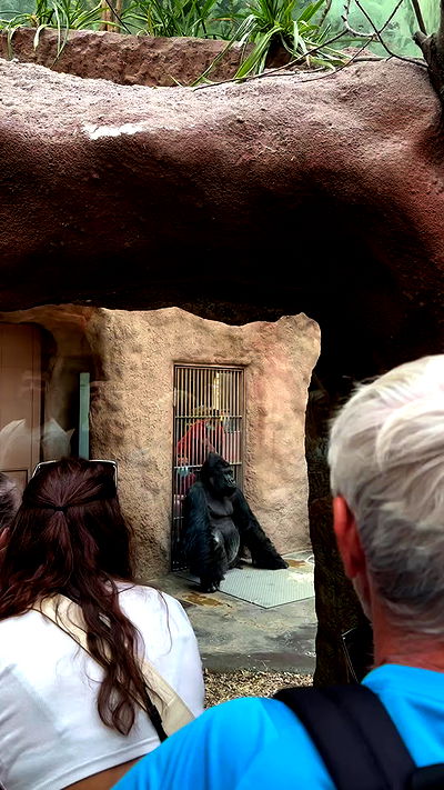 jaroslava_klavir jaroslava_klavir archive video