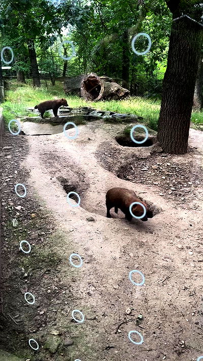 jaroslava_klavir jaroslava_klavir archive video