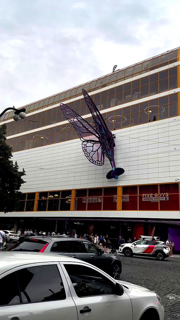 jaroslava_klavir archive video preview