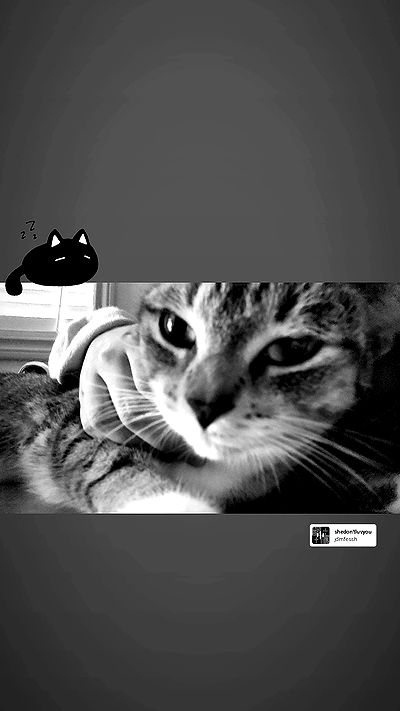 ilikesleepin_g ilikesleepin_g archive video