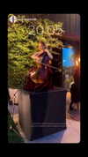 karin_orhov Altpins Profile Picture