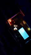 celestediconzoo Altpins Profile Picture