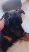 __yaheli_ Altpins Profile Picture