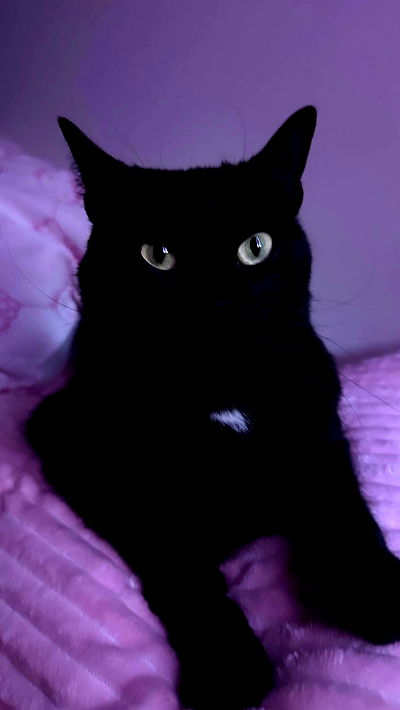 juliaelzz juliaelzz archive video