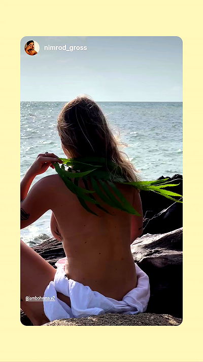 iambohema.v2 iambohema.v2 archive video