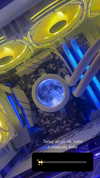 mittzaa_ Altpins Profile Picture