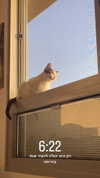 lisush_9 Altpins Profile Picture