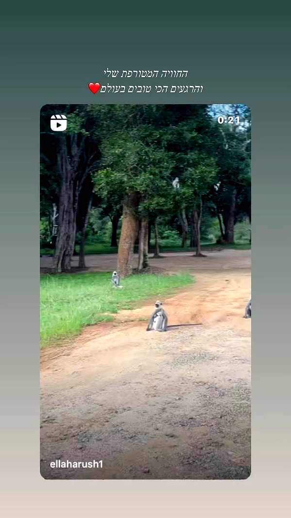 mayan.cohen archive video preview