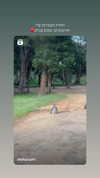 mayan.cohen Altpins Profile Picture