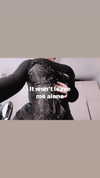 luna.havri Altpins Profile Picture