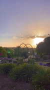 joycee.e Altpins Profile Picture