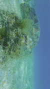 noa_mendel_ Altpins Profile Picture