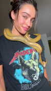 sommerray Altpins Profile Picture
