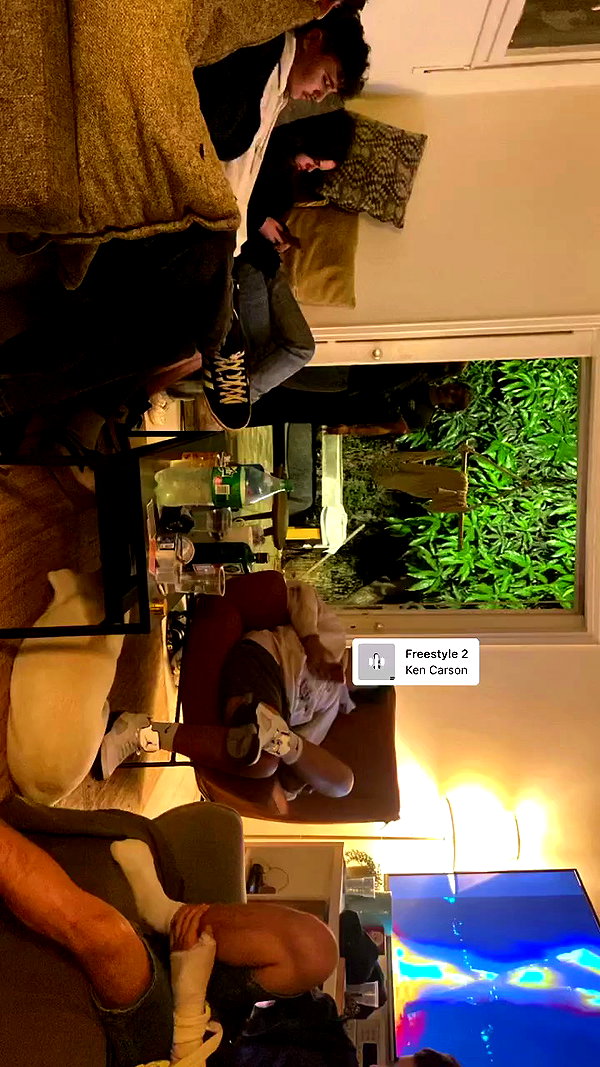 _shaybar._ archive video preview