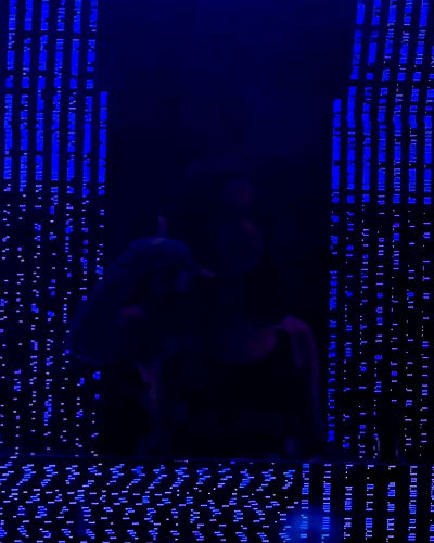 tiliaoficial tiliaoficial archive video