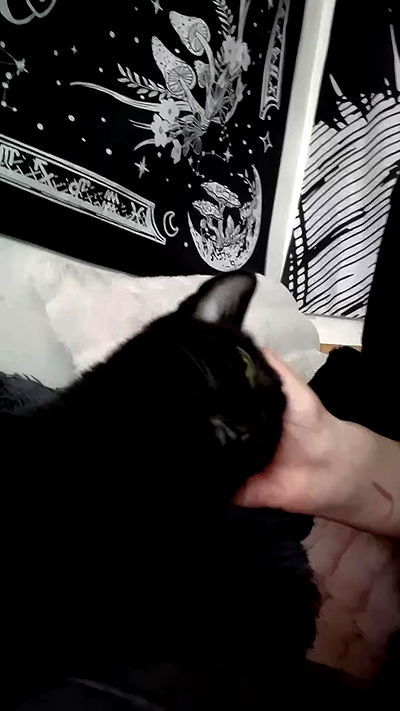 aekamee aekamee archive video