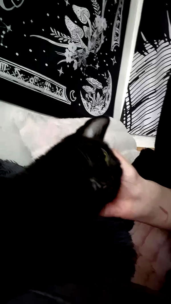 aekamee archive video preview