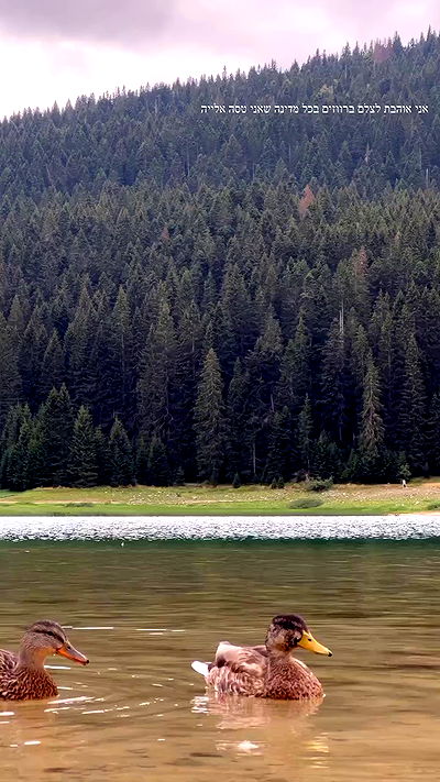 itsilanosh itsilanosh archive video