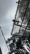 a.shaked_ Altpins Profile Picture