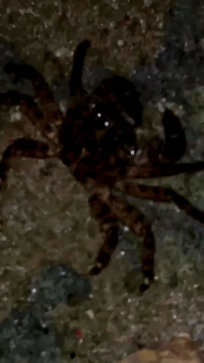 feelbetterinmysweater feelbetterinmysweater archive video