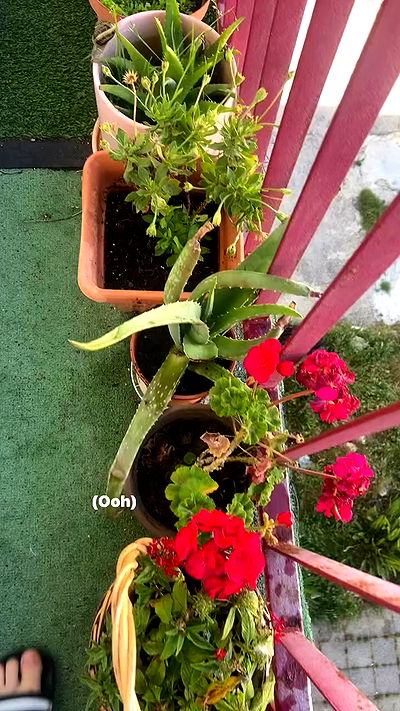 feelbetterinmysweater feelbetterinmysweater archive video