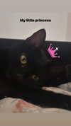 calyen Altpins Profile Picture