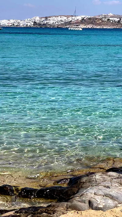 carolinezalog carolinezalog archive video