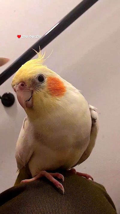 tinapavlov.sky tinapavlov.sky archive video