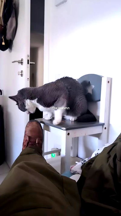 tinapavlov.sky tinapavlov.sky archive video