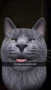 kalogeraseliana Altpins Profile Picture