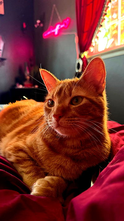 sweetmuffinnss sweetmuffinnss archive video