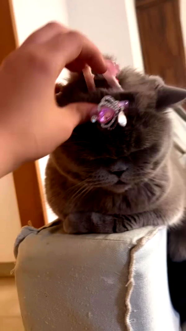 hellokittyangel666 archive video preview