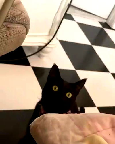 iluvmeww iluvmeww archive video