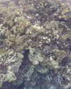 yaheli_ovadya Altpins Profile Picture