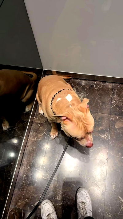 yannaidebeer yannaidebeer archive video