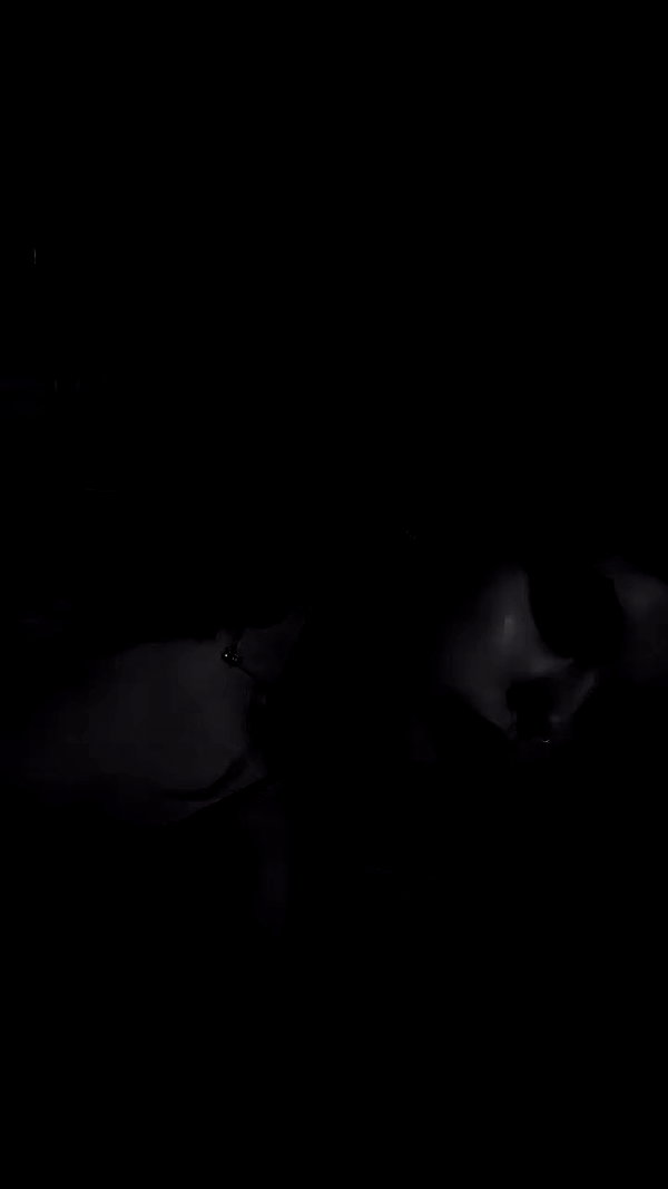 ria.qvss archive video preview