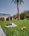 yaheli_ovadya Altpins Profile Picture