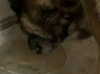 emily_new2 Altpins Profile Picture