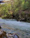 yaheli_ovadya Altpins Profile Picture