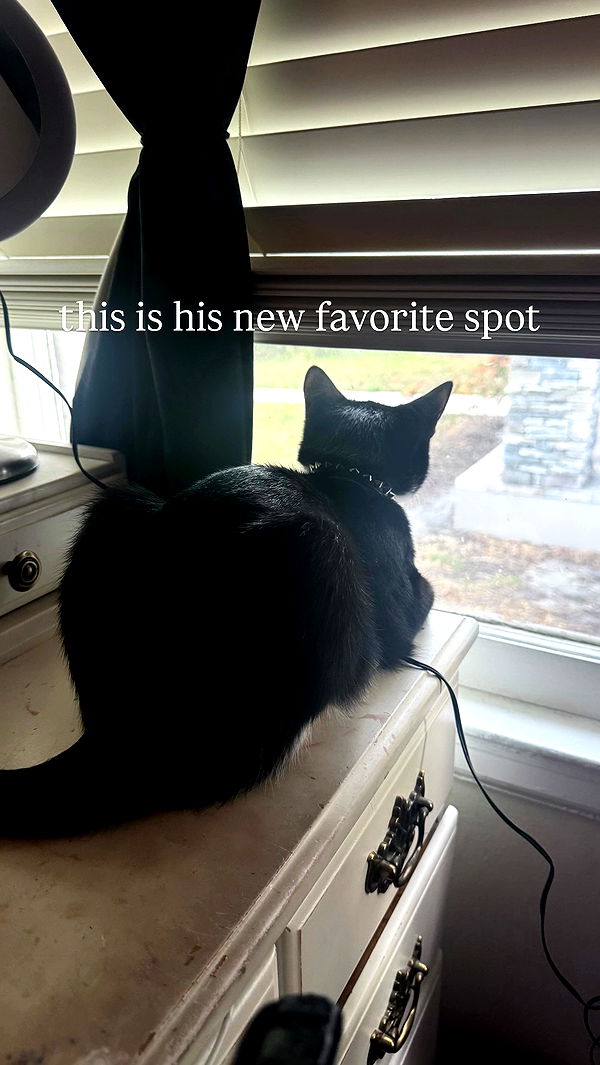 6nattynat9 archive video preview