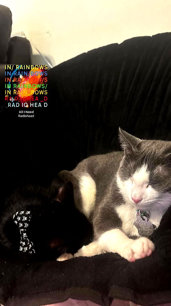 tatum.ricee archive video preview