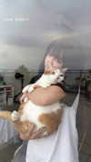 quitmell Altpins Profile Picture