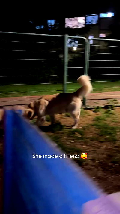 feelbetterinmysweater feelbetterinmysweater archive video