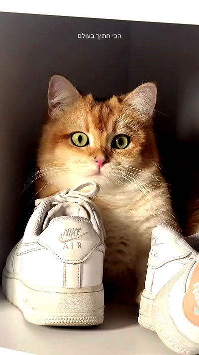 itsilanosh itsilanosh archive video